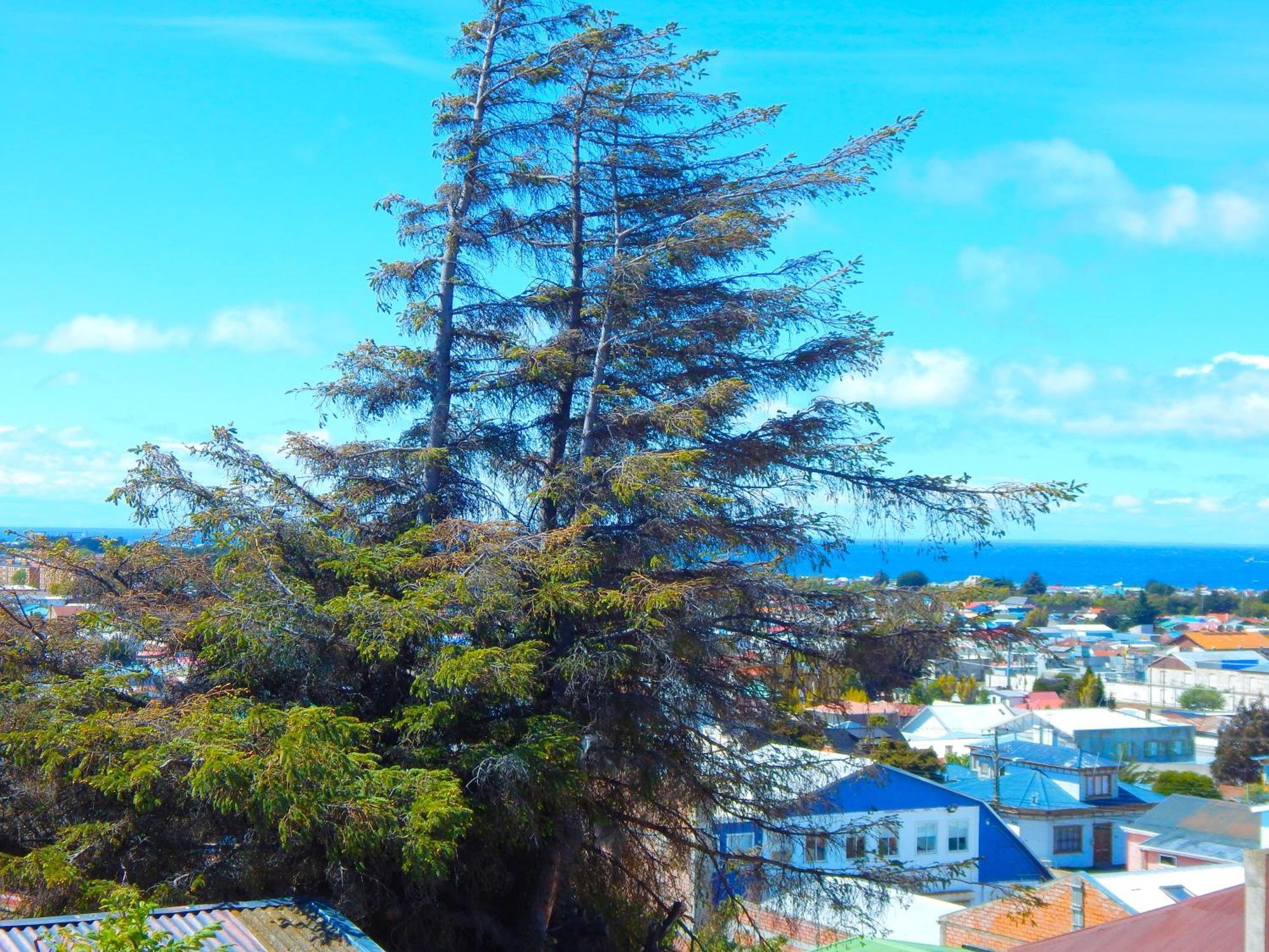 Hostal Buenavista Patagonia Punta Arenas Exterior foto